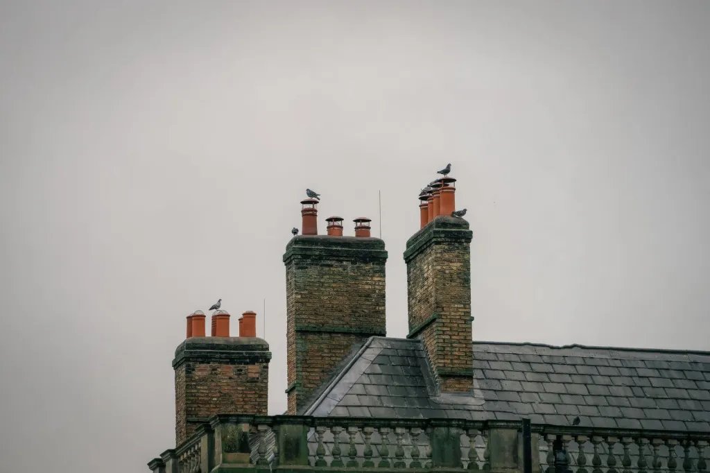 Careful Chimney Leak Repair